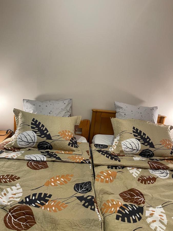 Appartement 3 Pieces Pour 1 A 5 Voyageurs Rillieux-la-Pape Extérieur photo
